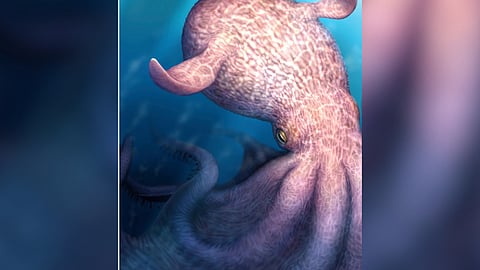 Ancient predator: Prehistoric kraken-like octopus prowled dinosaur-era seas