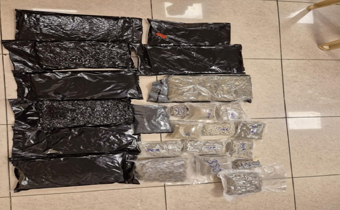 Chennai: Air Customs officials seize 10.7 kg of hydroponic ganja from Bangkok