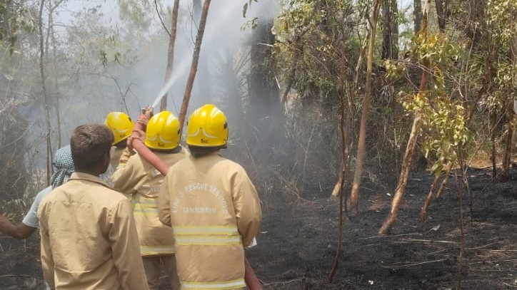 Firefighters battling a heave-wave-triggered fire raging in an eucalyptus plantation in Tiruvannamalai on Tuesday