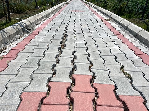 OMR lake pavement