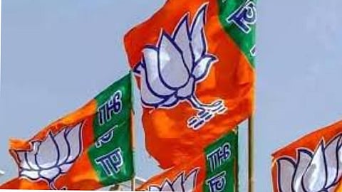 BJP Flags