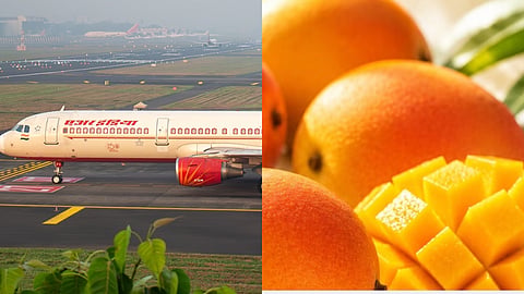 No ban on Indian mango imports: Nepal