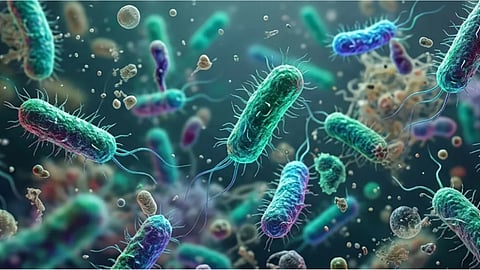 Shigella virus