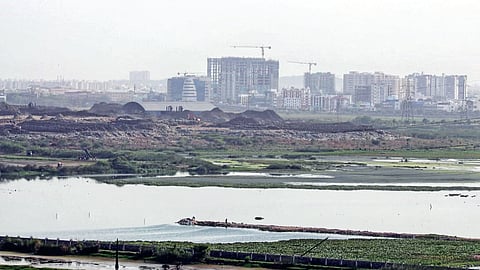 Pallikaranai Ramsar wetland
