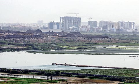 Pallikaranai Ramsar wetland