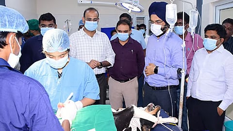 During an inspection of the dog birth control centre at Pulianthope in Thiru Vi Ka Nagar zone, Bedi reviewed sterilisation procedures for street dogs and treatment facilities for pets