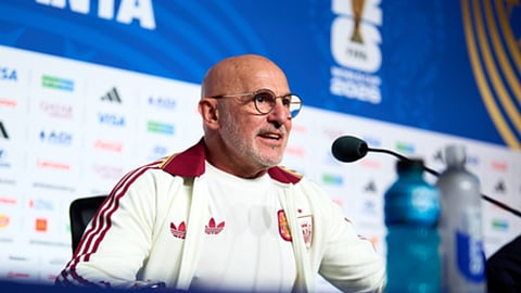 Spain's World Cup-winning coach Luis de la Fuente