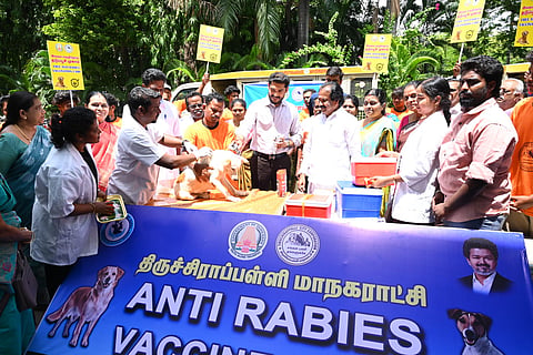 Tiruchy civic body targets more than 11,000 street dogs to undergo sterilization