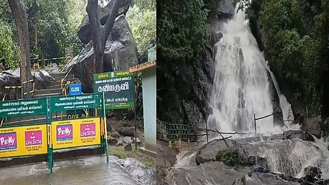Azhiyar Kavi Falls