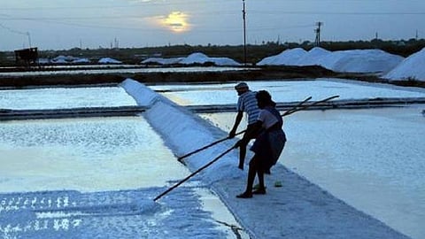 Workers working in a salt pan