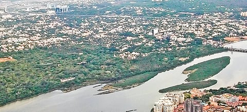 Adyar Creek