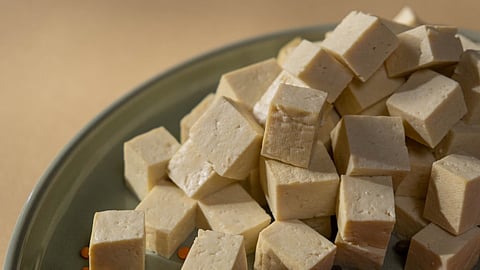 Image of paneer used for representative image