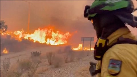 This image made from video provided by INFOCA shows firefighters battling a wildfire near Los Gallardos, Almeria, Spain.