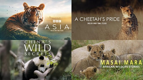 Poster of the documentaries