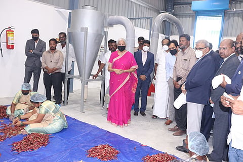 Samba chilli export insepected by Union Finance Minister Nirmala Sitharaman