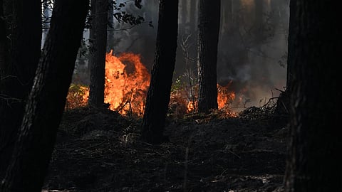A fire burns in the forest near Blagon, during wildfires in southwestern France.