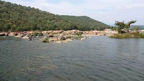 Cauvery water