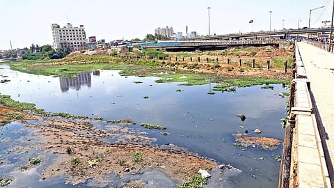Adyar Cooum River