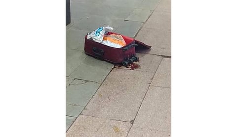 Red trolley suitcase in which body was found