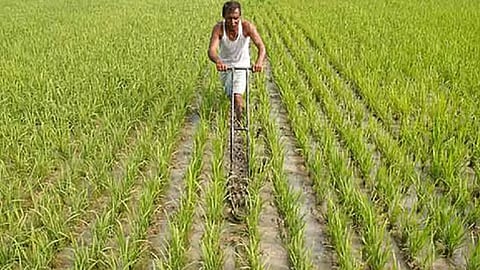 TN Agri Budget 2026