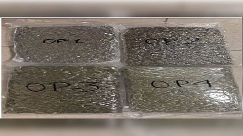 Seized drugs while smuggling in the Chennai airport.