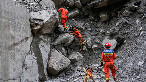 Rescuers use sniffer dogs to search for victims at a mudslide-hit area in Gyirong County, southwestern China's Tibet Autonomous Region, Sunday, Aug. 30, 2026