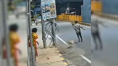 Video grab shows the accused being chased away by a dog