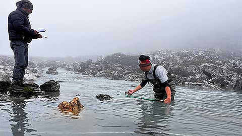 Glacial lakes are formed by the melting of glaciers and accumulation of meltwater in depressions on or near the glacier's surface.