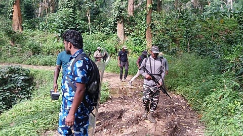 Forest department teams hunting for the evasive tiger