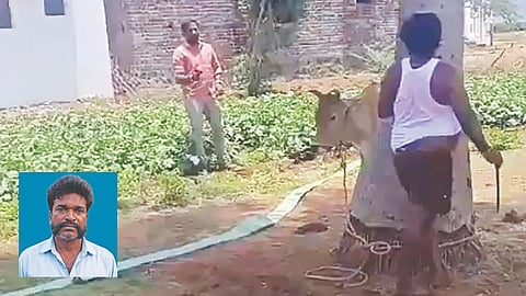 Video grab of history-sheeter Raja (inset) taking cover behind tree during arrest bid at a farmhouse on Wednesday