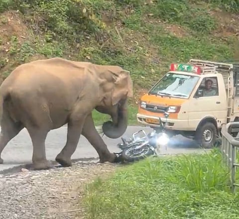 Wild elephant tramples two-wheeler of tourist couple from Kerala
