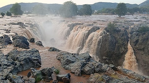 A view of the Hogenakkal.
