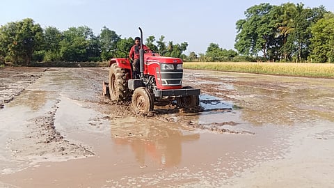 A farmer from Marugulam in Thanjavur engaged in samba cultivation with support of bore wells