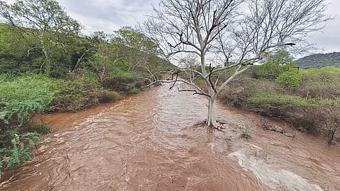 Dharmapuri recorded heavy showers over the past few days