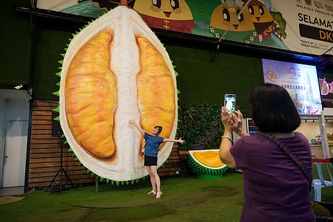Malaysia seeks to make pungent durian a global favourite