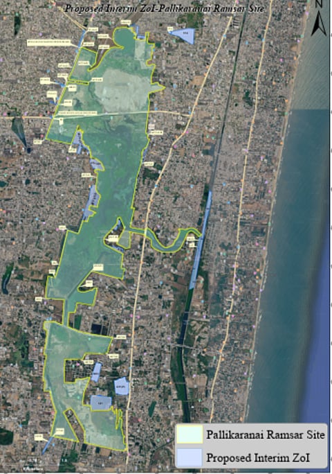 Pallikaranai wetland: Interim buffer zone cut to 316.76 acres hectares