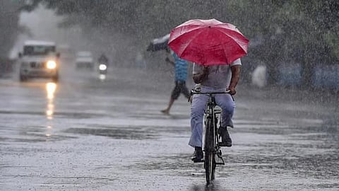 Schools declared holiday in 5 Tamil Nadu districts