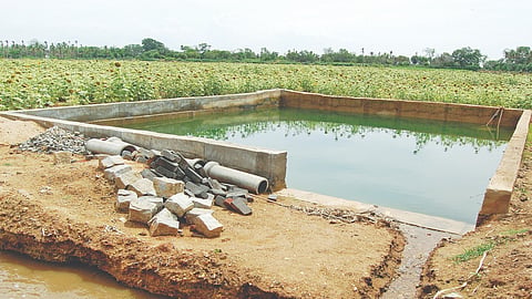Experts urge farmers to revive farm ponds to save next cultivation cycle