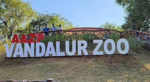 Vandalur Zoo closes for two days as a precaution after H5N1 bird flu is confirmed in water birds