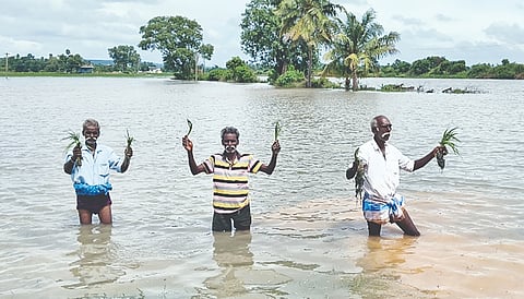 Over 800 acres of paddy crops were inundated after NHAI’s nearby 6-lane work blocked rainwater from draining into waterbodies. Irked villagers detained officials in Uthukottai on Thursday