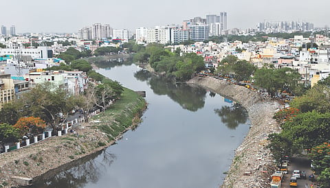 Nature-based solutions can offer low-energy answer to Tamil Nadu’s wastewater gap