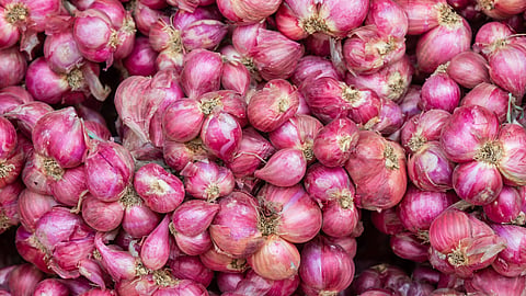 Sambar onion