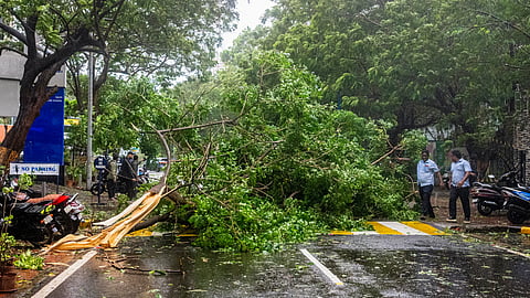 Schools closed in parts of J'khand till Oct 29 in view of cyclone 'Arnab'