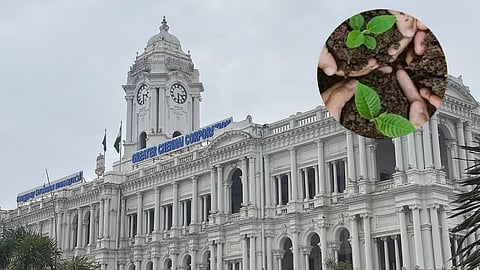 Chennai Corporation identifies land to plant for 10 lakh saplings