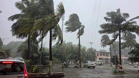 Coconut trees sway amid gusty winds and heavy rainfall triggered by Cyclone 'Arnab', in Puri, Odisha