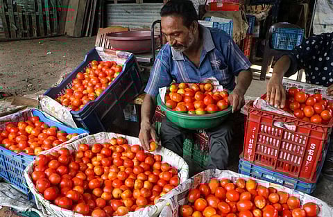 Not lovin’ it! Pricey tomatoes off McDonald’s menu in north, east