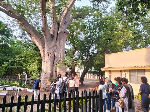 Heritage tree-tour marks Chennai’s 384th birthday