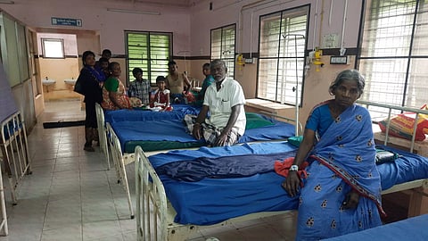 20 persons injured in beetles sting 