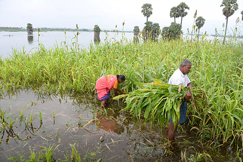 Representative image.