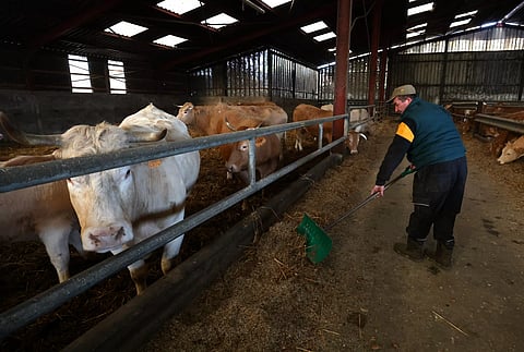 The Right Approach: Enforcing climate pacts with trade measures